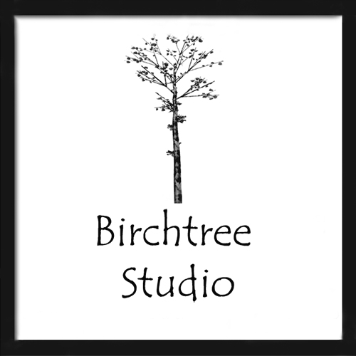 LGBTQ+ Photography Directory of STL - Find Queer owned photography services in St. Louis MO